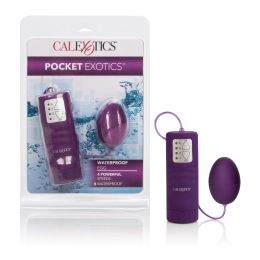 Waterproof Pocket Exotics Waterproof  Egg - Purple